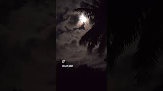 whatsappstatus night kadhalardhinam tamilsong nature couple [upl. by Chadbourne227]