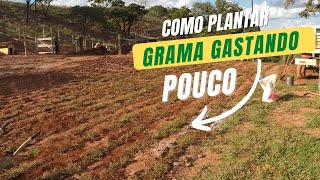 COMO PLANTAR GRAMA GASTANDO POUCO [upl. by Attaynek]