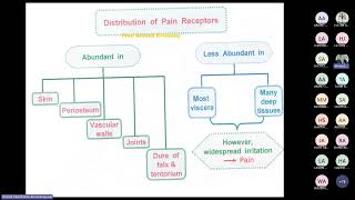 Pain analgesia amp Mechanisms of neuropathic pain by Prof Ahmed Elgendy [upl. by Nolek]