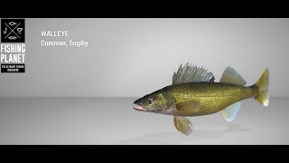 Fishing Planet  Emerald Lake  Trophy  Walleye  Float [upl. by Lib944]