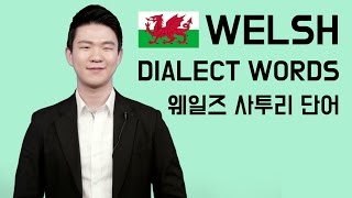 Welsh Dialect Words Korean Billy [upl. by Belloir526]