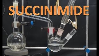 HOW MAKE SUCCINIMIDEncchem [upl. by Nellda]