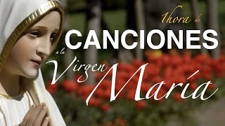 1 hora de CANCIONES A LA VIRGEN MARIA Parte 2 Gladys Garcete [upl. by Teplitz]