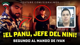 ¡EL PANU SEGUNDO AL MANDO DE IVAN Jefe De quotEl Niniquot [upl. by Kingsly184]