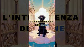 LIntelligenza Del Cane 🐕 motivazione lezionedivita saggezza [upl. by Bhatt]