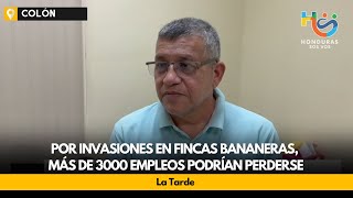 Por invasiones en Fincas bananeras más de 3000 empleos podrían perderse [upl. by Akeinahs700]