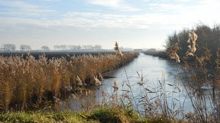 Weerbericht voor vrijdagmiddag Ook morgen meest droog [upl. by Suaeddaht]