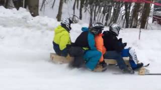 Homebuilt Bobsleigh Fail [upl. by Cohen]