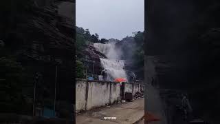 Flood in main falls Courtallam 22102024 courtallam falls trending shorts viralvideo tenkasi [upl. by Nnek]