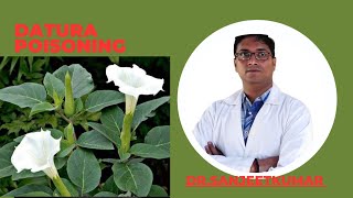 Tutorial 53DATURA POISONING [upl. by Llehcear]