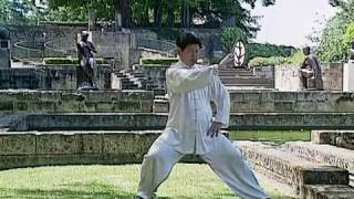 Tai Chi Lessons with Master Jian Liujun [upl. by Nosac]