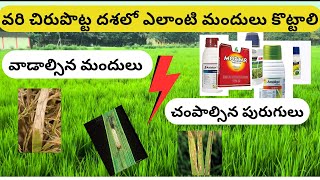 వరి చిరుపొట్ట దశలో ఎలాంటి మందులు కొట్టాలి 🌾 paddy pesticides insecticides spraying agriculture [upl. by Enneirda]