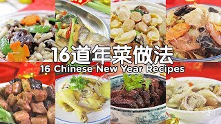 年菜食谱 1 Chinese New Year Recipe Compilation Vol1 [upl. by Azeret703]