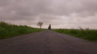 Relaxing Sounds of Light Rain and Soothing Wind Blowing Through Vegetation on an Abandoned Road  4K [upl. by Ynohtnael]