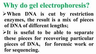 Why Do Gel Electrophoresis [upl. by Judy]