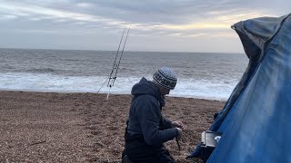 Fish Disco is live at Abbotsbury on Chesil Beach [upl. by Ginsburg605]