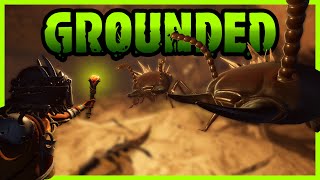 Not ONE But TWO TERMITE KINGS  Grounded NEW 14 Fully Yoked Update E10 [upl. by Aleel325]