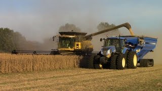 New Holland CR8090 Twin Rotor Combine Harvesting Soybeans [upl. by Kcerred]