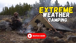 Bushcraft Camping in Extreme Weather  Poleframe Tarp Shelter Wet Weather Fire  by wituikbws [upl. by Oskar]