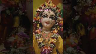 Barsane mein dhum machi Bhari song music [upl. by Nylad]