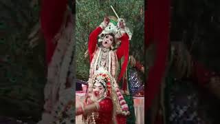 Chalo Re Shri Vrindavan Dham 🙏🙏Shri Radhe Radhe [upl. by Llegna]