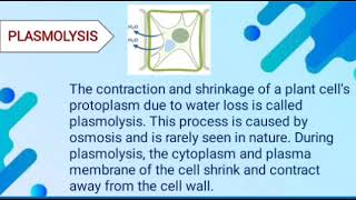 plasmolysis process  what is plasmolysis process  define plasmolysis process [upl. by Meeka608]