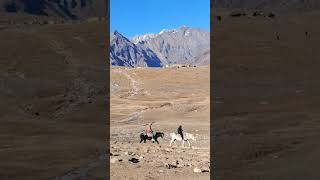 Leh Ladakh kabhi mat jana bhai roadtrip lahulspiti [upl. by Rammus]