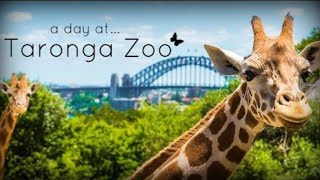 A day at Taronga Zoo [upl. by Bradly]