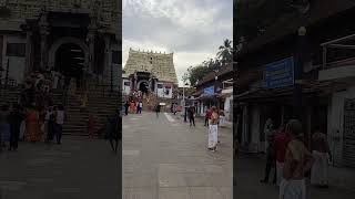 Mystery of Padmanabhaswamy Temple mystery treasure padmanabhaswamy amazingfacts [upl. by Einreb390]