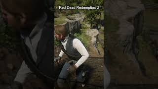 Red Dead Redemption 2 quartz chunk [upl. by Adnilg]