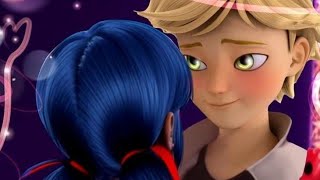 ladybug and catnoir rose daykiss dayvalentine day। purpose day 😍🌹🥀miraculousladybug [upl. by Licec]