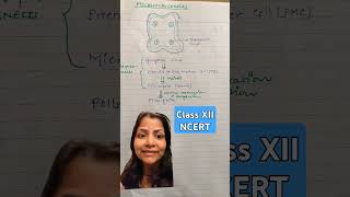 Process of microsporogenesis ncertsolutions biology NEET classxii plantphysio youtubeshorts [upl. by Reahard]