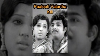 Palooti Valartha Kili பாலூட்டி வளர்த்த கிளி T M Soundararajan Movie Gauravam [upl. by Cliff985]