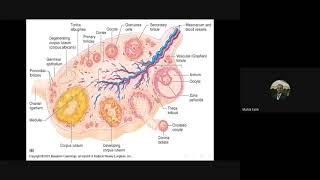 Embryology Lec1 Gametogenesis [upl. by Selrahc]