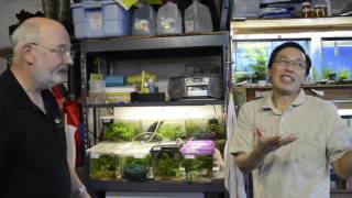 Jim quotThe Notho Guyquot Killifish Fish Room Tour [upl. by Amada]