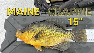 Early Season Crappie Grind Maine Ice Fishing 2023 2024 [upl. by Smaj148]