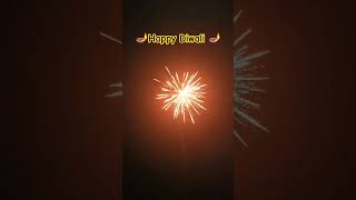 Diwali Cracker Short Diwali 2024 diwali2024 travel armylover crackers diwalispecial diwali [upl. by Gualtiero246]