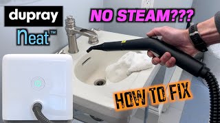 Dupray NEAT Steam Cleaner  NO STEAM or SPRAY Solved [upl. by Catima]