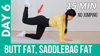 7 Days underbutt fat saddlebag fat knee friendly booty workout no jumping [upl. by Culhert438]