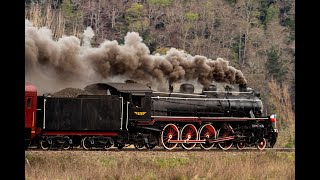 TREN DE LA ARAUCANÍA  TEMUCO  VICTORIA [upl. by Ylremik]