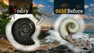 Shaligram Stone In Gandaki River History Significance And Miracles In Nepal [upl. by Eltsyrc778]