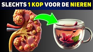 De 5 Beste Theeën voor Gezonde Nieren en Verlaging van de Bloeddruk [upl. by Benedic156]