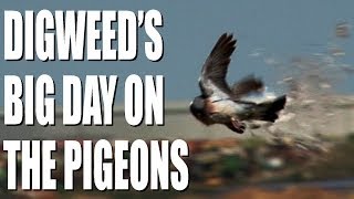 George Digweeds big day on the pigeons [upl. by Linden]