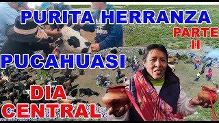 HERRANZA DE VACAS  SORAS  PUCAHUASI  DIA CENTRAL 02 [upl. by Jarret575]