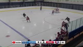 Girls Varsity Hockey Hoosac at Hotchkiss Nov 29 2023 [upl. by Morocco]