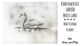 KAKO se crta LABUD  BRZO i lako  How to draw a SWAN easy [upl. by Sessler]