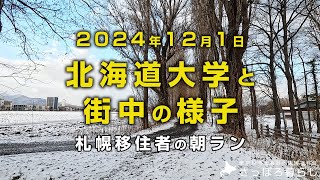 今朝の札幌の街中と北海道大学の様子です。｜札幌移住者の日常 [upl. by Chema]