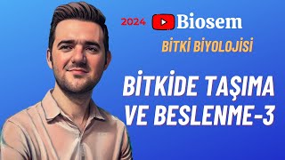 Bitki Biyolojisi  Bitkide Taşıma3 Konu Anlatımı 12 Sınıf Biyoloji [upl. by Zaccaria113]