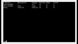 Setting Up Python Development Environment In FreeBSD 102 [upl. by Nessy]