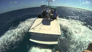 Parasailing Great Stirrup Cay Bahamas [upl. by Zobias727]